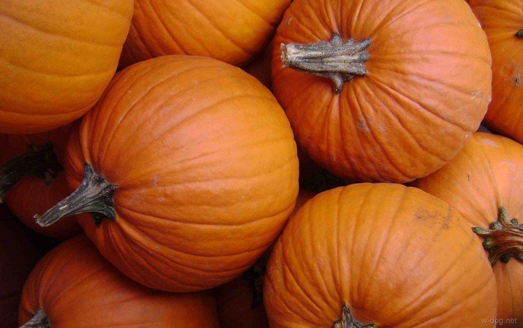 осень, овощи, плоды, оранжевая, тыквы, тыква, autumn, vegetables, fruit, orange, pumpkin