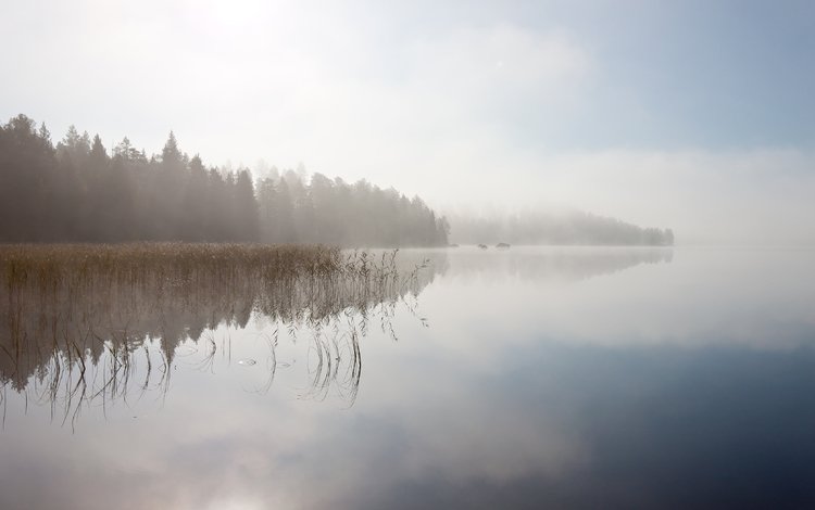 небо, деревья, река, отражение, пейзаж, туман, the sky, trees, river, reflection, landscape, fog