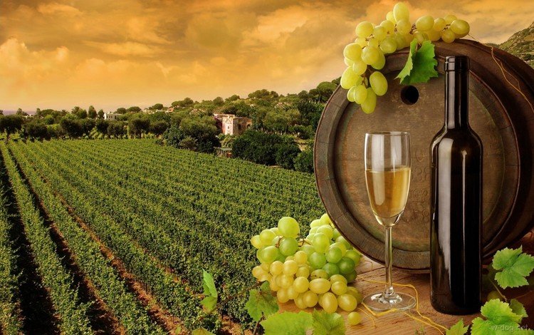 листья, виноград, бокал, вино, белое, бутылка, бочка, leaves, grapes, glass, wine, white, bottle, barrel