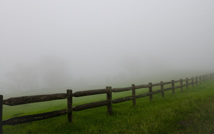 трава, туман, поле, забор, ограждение, мгла, grass, fog, field, the fence, haze