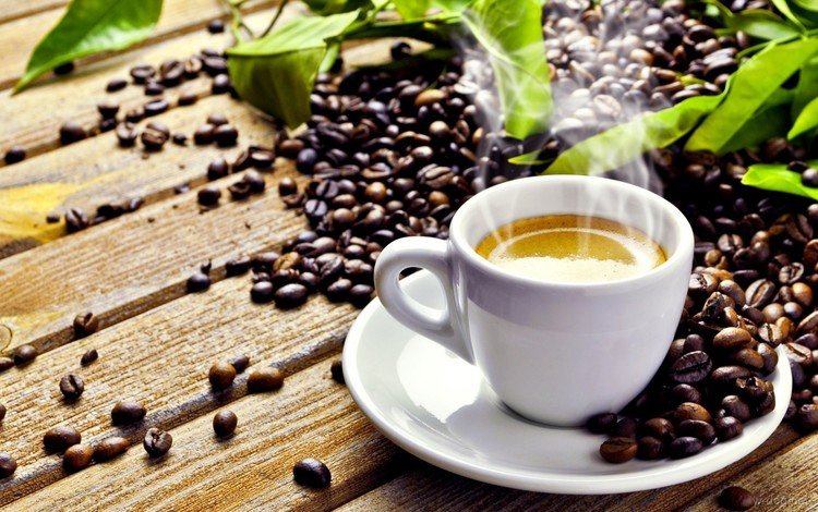 напиток, кофе, блюдце, чашка, кофейные зерна, пенка, дымок, drink, coffee, saucer, cup, coffee beans, foam, smoke
