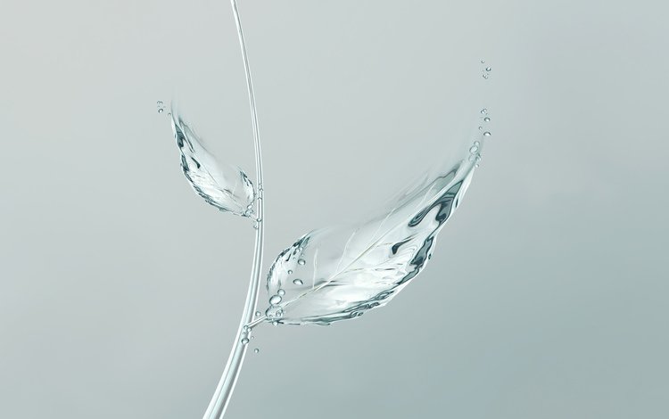 вода, лист, минимализм, листик, пузырьки, минимаизм, мыльные пузыри, water, sheet, minimalism, leaf, bubbles