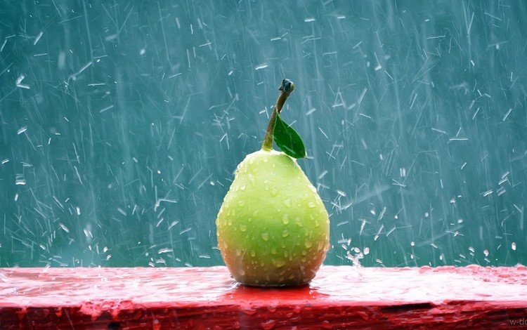 капли, фрукты, дождь, плоды, груша, drops, fruit, rain, pear