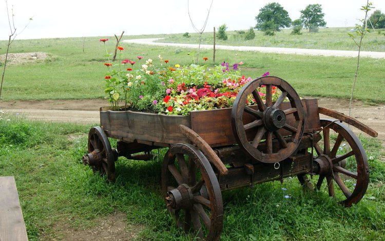 цветы, природа, поле, телега, flowers, nature, field, cart