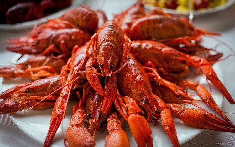 усы, ресторан, тарелка, краб, морепродукты, раки, mustache, restaurant, plate, crab, seafood, cancers