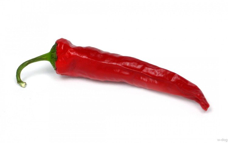 белый фон, чили, перец, жгучий, красный перец, white background, chile, pepper, burning, red pepper