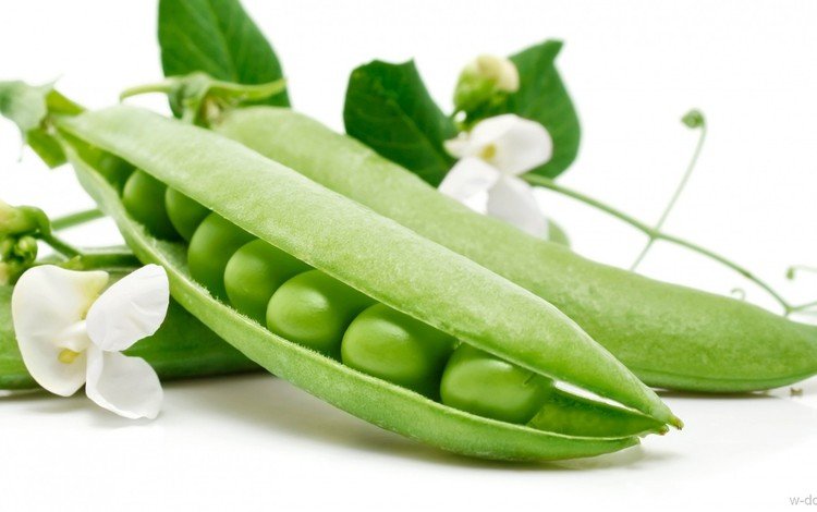 белый фон, горох, стручек, зеленый горошек, white background, peas, struck, green peas