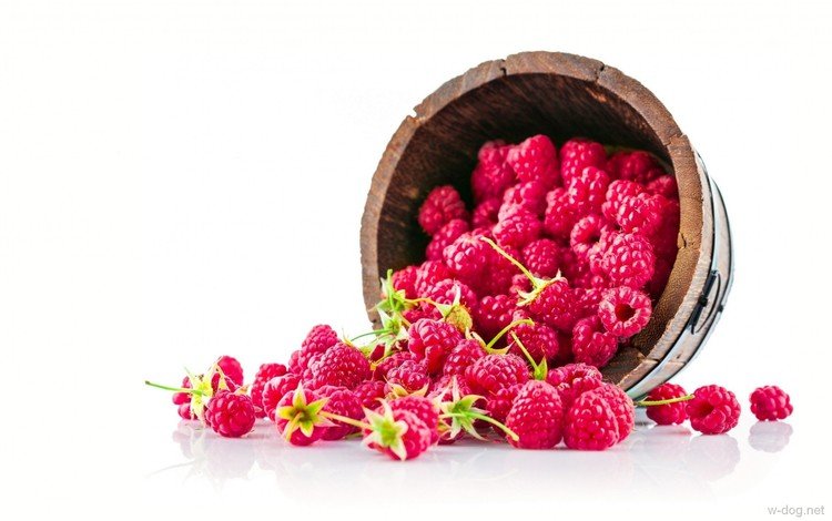 малина, ягоды, белый фон, ведерко, raspberry, berries, white background, bucket