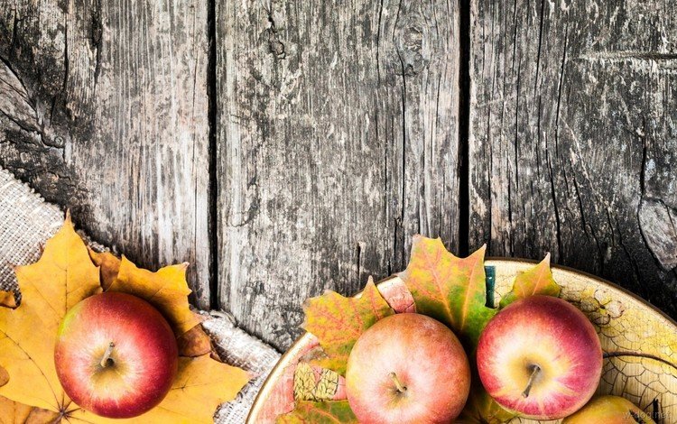 листья, фрукты, яблоки, осень, плоды, leaves, fruit, apples, autumn