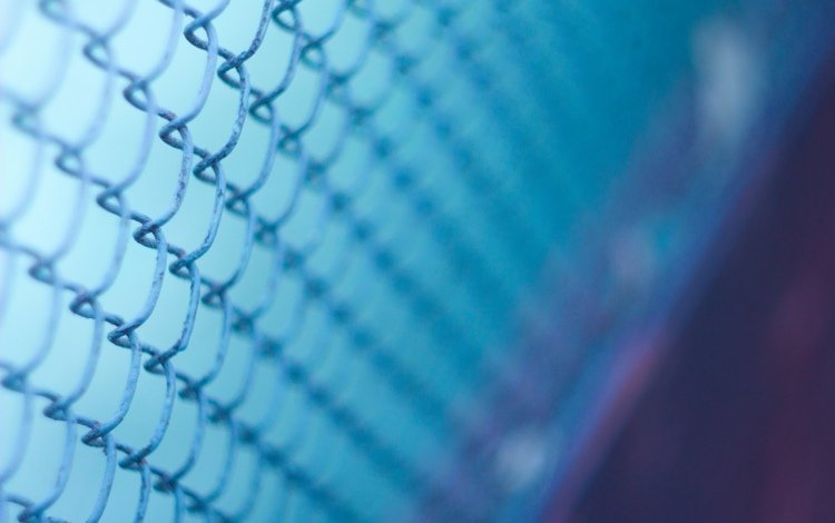 макро, фон, синий, забор, размытость, сетка, рабица, macro, background, blue, the fence, blur, mesh, netting