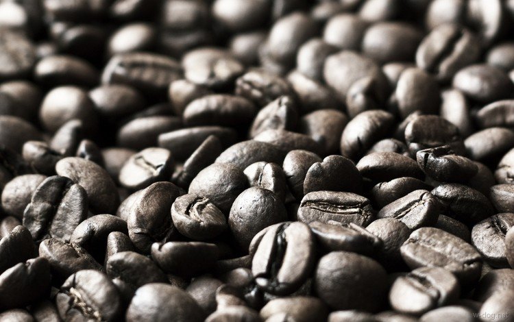 зерна, кофе, кофейные зерна, grain, coffee, coffee beans