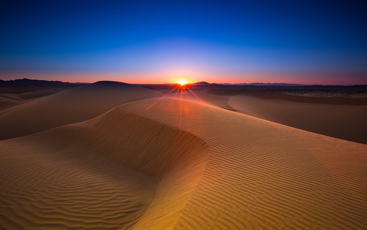 небо, солнце, закат, песок, горизонт, пустыня, дюны, the sky, the sun, sunset, sand, horizon, desert, dunes