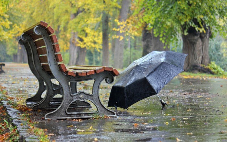 настроение, осень, улица, дождь, зонт, скамейка, скамья, зонтик, dienstag, mood, autumn, street, rain, umbrella, bench