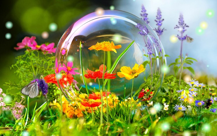 цветы, лето, бабочка, фотошоп, красиво, пузырь, шмель, 3д, flowers, summer, butterfly, photoshop, beautiful, bubble, bumblebee, 3d