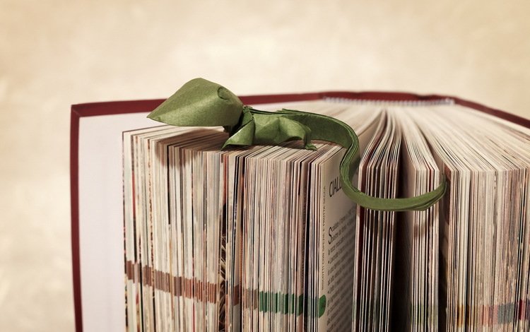фон, бумага, ящерица, оригами, зеленая, книга, переплет, страницы, background, paper, lizard, origami, green, book, cover, page