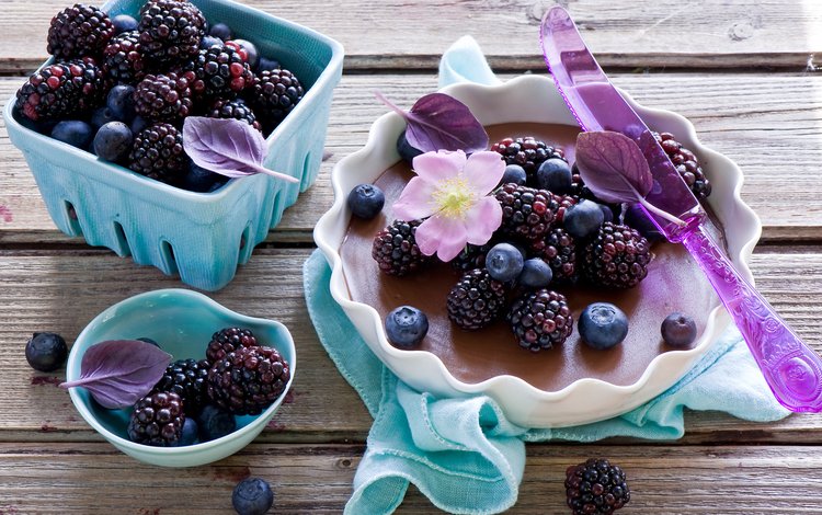 ягоды, черника, нож, десерт, натюрморт, ежевика, миска, деревянная поверхность, berries, blueberries, knife, dessert, still life, blackberry, bowl, wooden surface