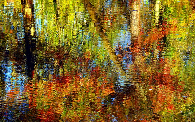 вода, природа, отражение, осень, рябь, water, nature, reflection, autumn, ruffle