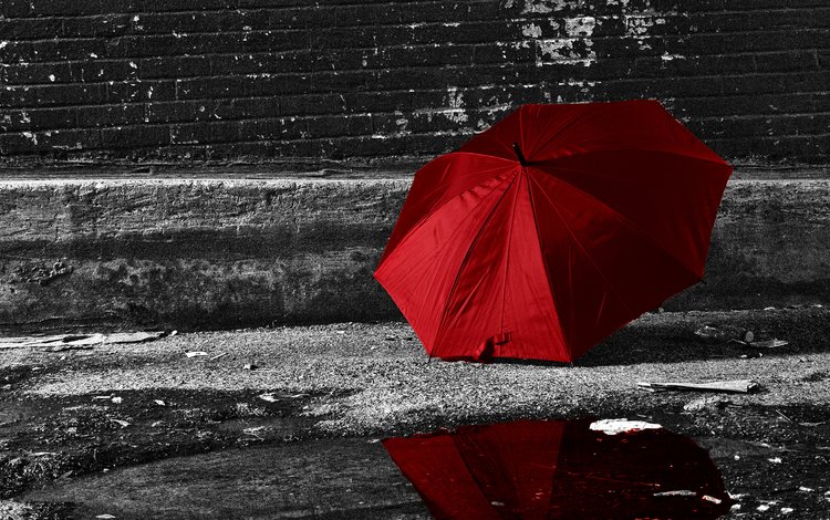 отражение, стена, улица, дождь, зонт, лужа, reflection, wall, street, rain, umbrella, puddle
