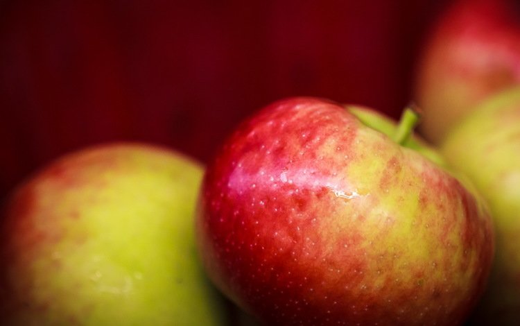 макро, фон, фрукты, яблоки, яблок, macro, background, fruit, apples