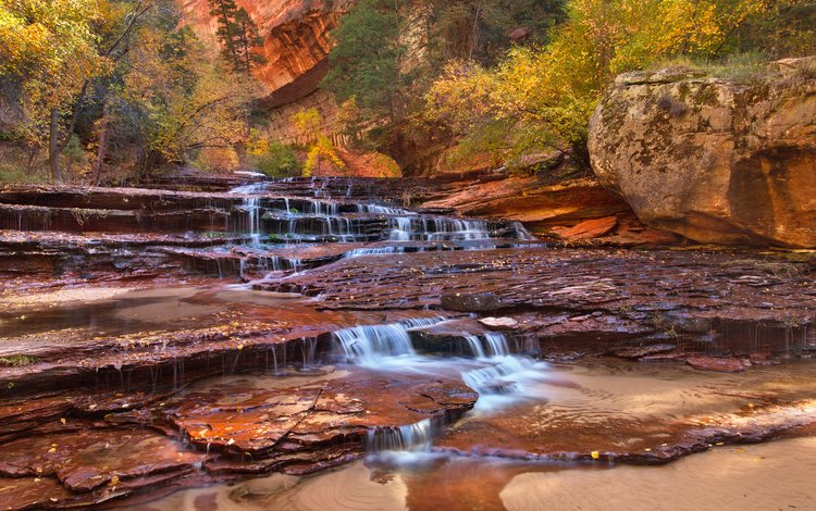 деревья, горы, скалы, ручей, водопад, сша, юта, zion national par, trees, mountains, rocks, stream, waterfall, usa, utah