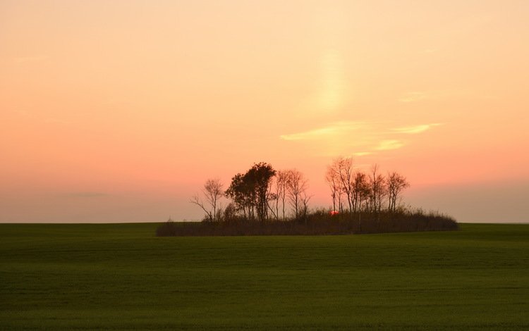 закат, пейзаж, поле, sunset, landscape, field