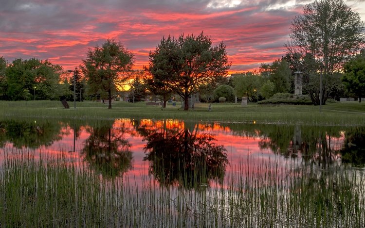 деревья, закат, отражение озеро, trees, sunset, reflection lake