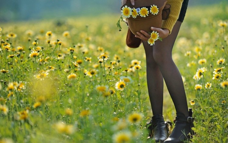 цветы, девушка, настроение, лето, ноги, шляпа, flowers, girl, mood, summer, feet, hat