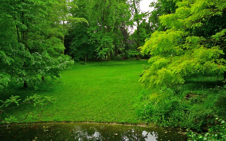 трава, деревья, зелень, парк, пруд, франция, лужайка, albert-kahn japanese gardens, grass, trees, greens, park, pond, france, lawn