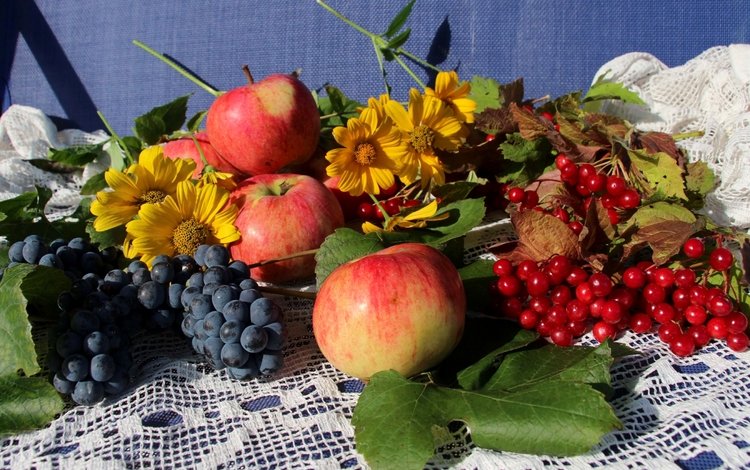 цветы, листья, виноград, фрукты, яблоки, ягоды, натюрморт, калина, flowers, leaves, grapes, fruit, apples, berries, still life, kalina