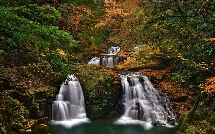 деревья, лес, осень, япония, водопады, каскад, набари, trees, forest, autumn, japan, waterfalls, cascade, nabari
