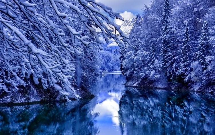 деревья, вода, река, снег, отражения, зима, ветки, trees, water, river, snow, reflection, winter, branches