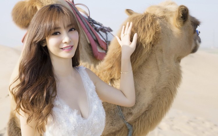 девушка, животные, пустыня, азиатка, верблюд, girl, animals, desert, asian, camel