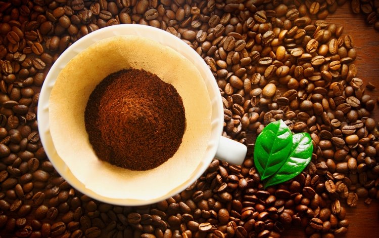 кофе, чашка, кофейные зерна, кубок, бобы, coffee, cup, coffee beans, beans