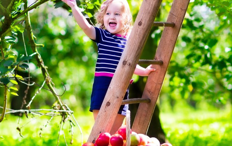 лестница, лето, яблоки, дети, девочка, ребенок, маленькая, смех, ladder, summer, apples, children, girl, child, little, laughter
