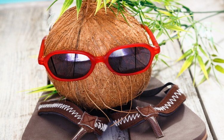 очки, праздник, кокос, каникулы, сланцы, летнее, кокосовый орех, забавная, glasses, holiday, coconut, vacation, slates, summer, funny