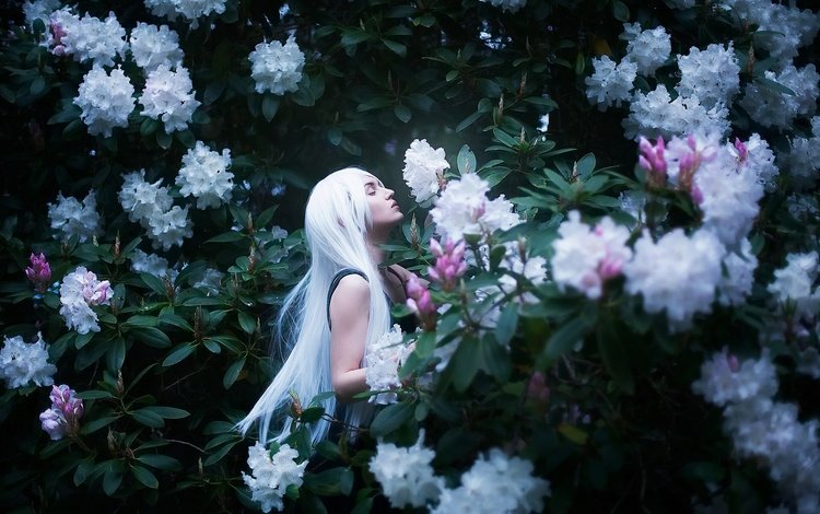 цветы, настроение, белые волосы, maria elige aliaeva, рододендроны, flowers, mood, white hair, maria "fly high man" aliaeva, rhododendrons