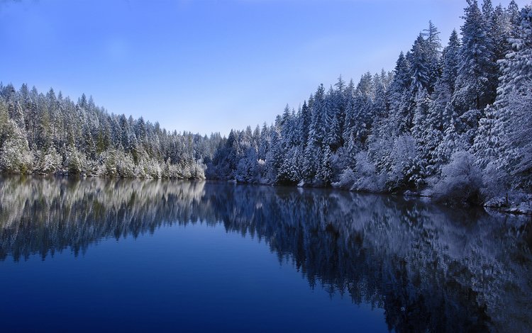небо, деревья, озеро, лес, зима, отражение, the sky, trees, lake, forest, winter, reflection