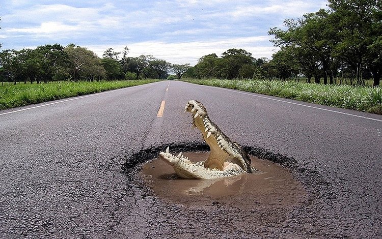 дорога, ситуация, крокодил, ситуэйшен, road, the situation, crocodile, situeyshen