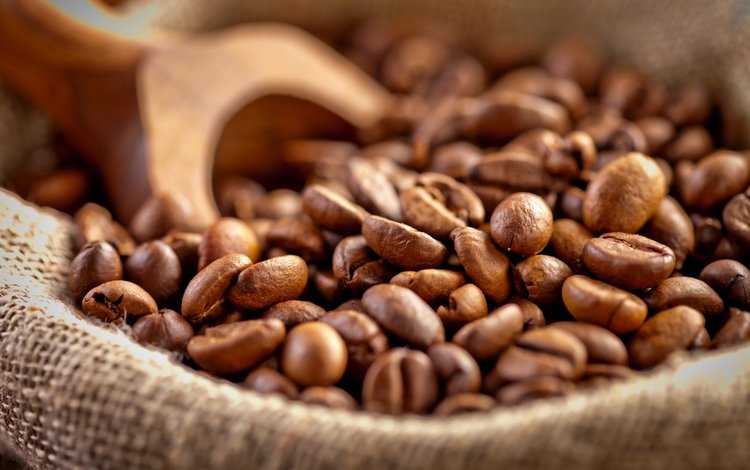зерна, кофе, мешок, кофейные зерна, лопатка, grain, coffee, bag, coffee beans, blade