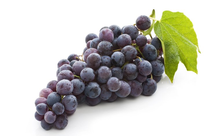 листья, виноград, фрукты, плоды,  листья, гроздь винограда, leaves, grapes, fruit, bunch of grapes