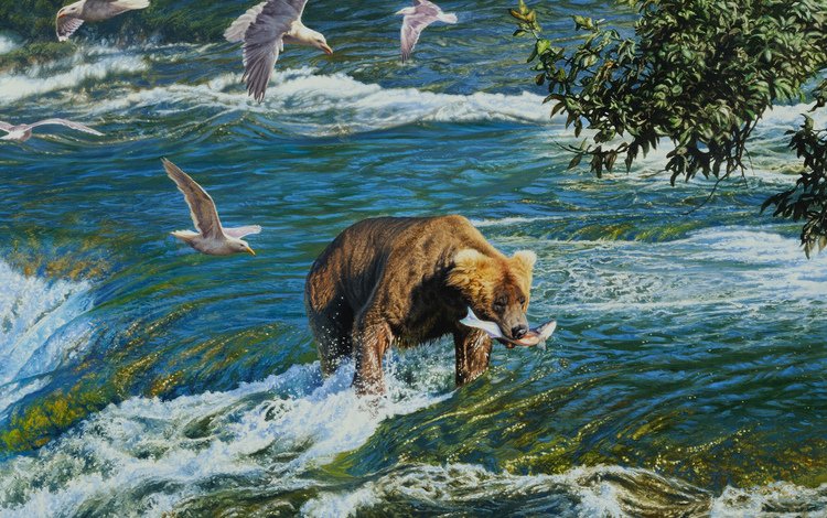 рисунок, река, медведь, чайки, рыба, figure, river, bear, seagulls, fish