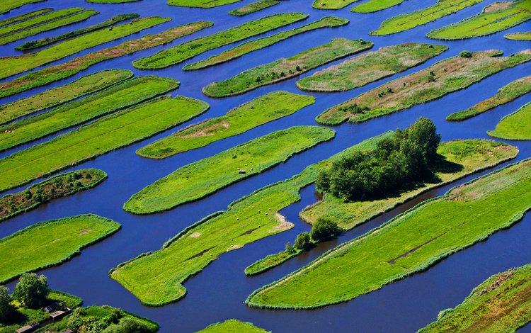 трава, деревья, вода, остров, нидерланды, jisp, grass, trees, water, island, netherlands