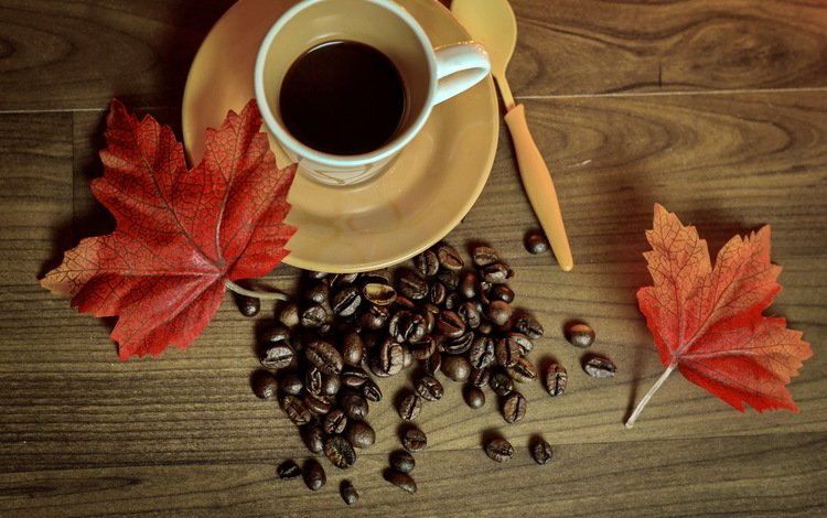 осень, кофе, чашка, книга, кубок, осен,  листья, бобы, autumn, coffee, cup, book, leaves, beans