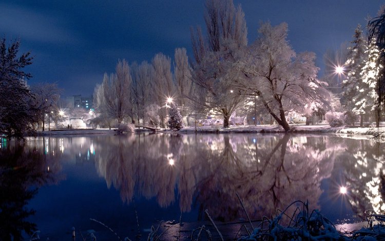 небо, деревья, снег, зима, спокойствие, фотограф, пруд, сергей денисюк, the sky, trees, snow, winter, calm, photographer, pond, sergey denisyuk