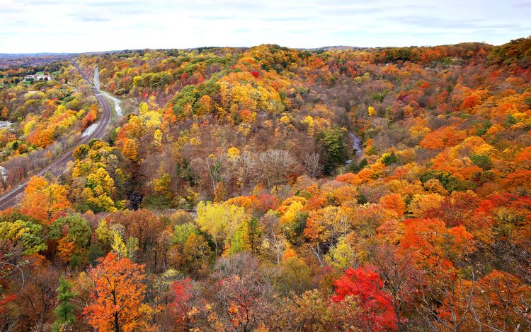 дорога, деревья, река, рельсы, лес, осень, канада, онтарио, road, trees, river, rails, forest, autumn, canada, ontario