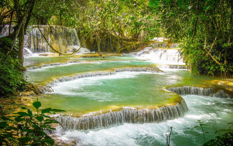 деревья, скалы, природа, лес, водопад, лаос, kuang si waterfall, trees, rocks, nature, forest, waterfall, laos