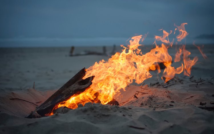 песок, пляж, огонь, костёр, sand, beach, fire, the fire