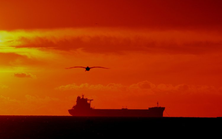 закат, море, корабль, чайки, sunset, sea, ship, seagulls