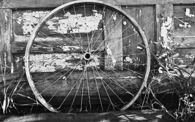 колесо, белая, метал, велосипед, дерева, блака, bicycle wheel, wheel, white, metal, bike, wood, black
