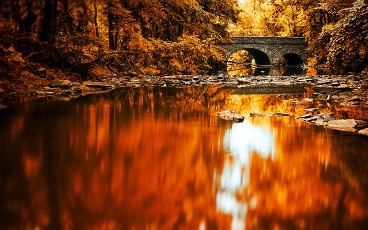 озеро, река, лес, отражение, мост, осень, lake, river, forest, reflection, bridge, autumn